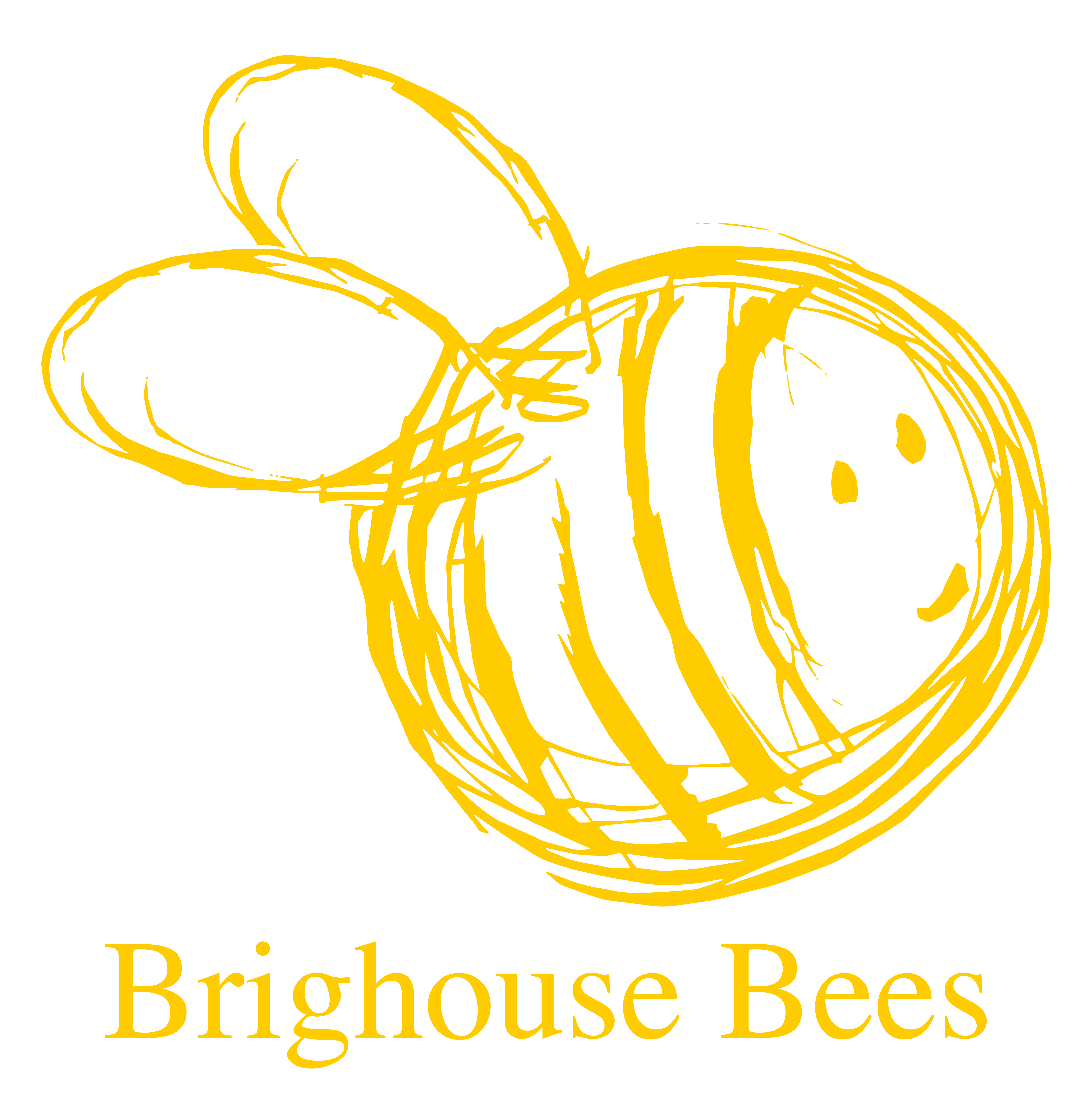 Brighouse Bees Running Club